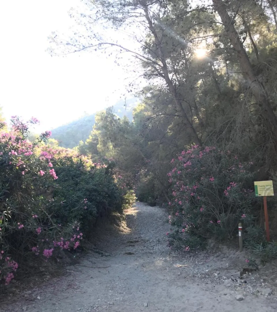 B&B The Lost Village El Acebuchal Frigiliana Bed & Breakfast